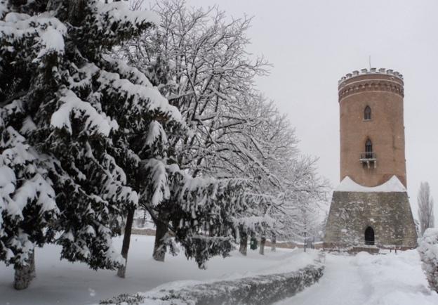 Programul muzeelor din cadrul Complexului Naţional Muzeal „Curtea Domnească” Târgovişte, în perioada Crăciunului și Anului Nou
