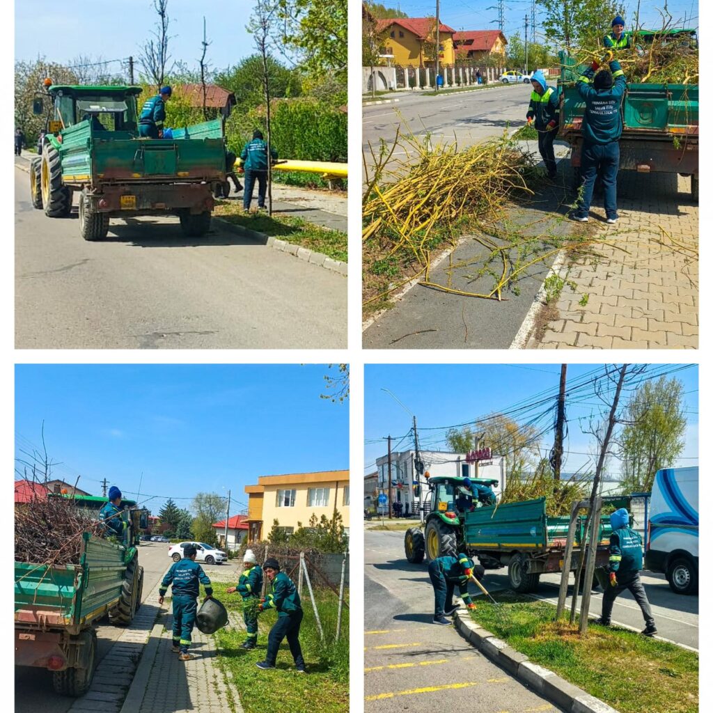 Un Titu frumos se construiește PAS cu PAS!