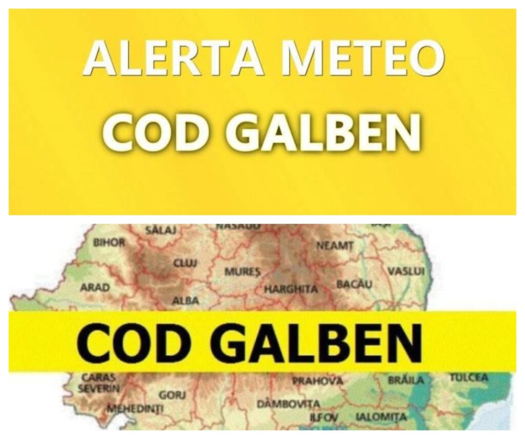 Curse suplimentate pentru transportul public târgoviștean, în condiții de Cod Galben de ninsori!