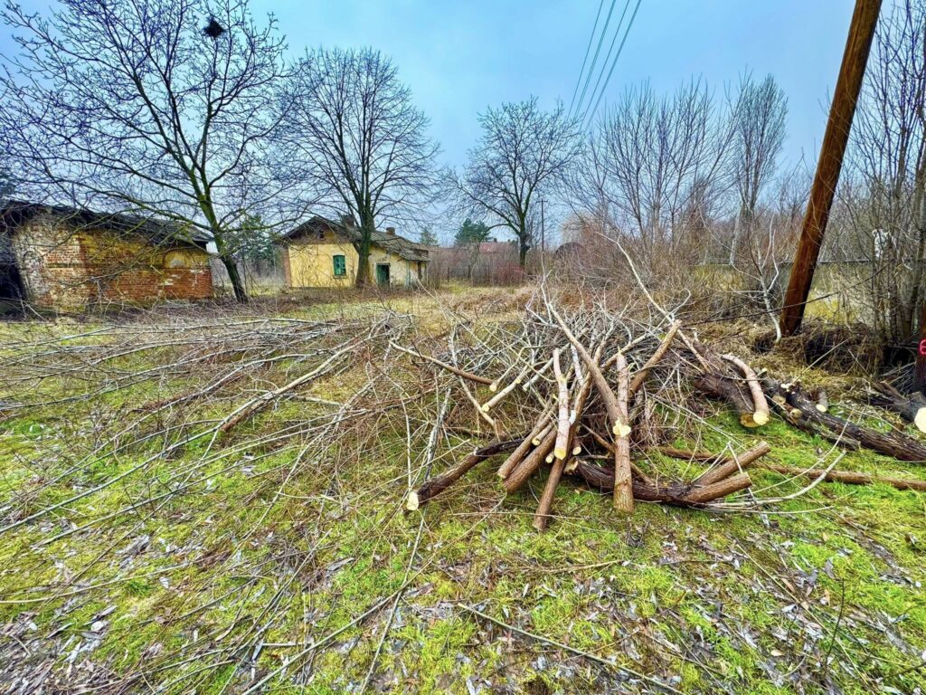 Titu, au fost demarate lucrările de ecologizare și igienizare a terenului care a aparținut fostei remize CFR